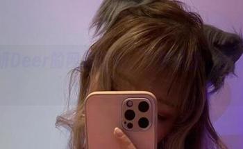 啾小妍Deer的网盘游戏：下载妍宝，全副武装！