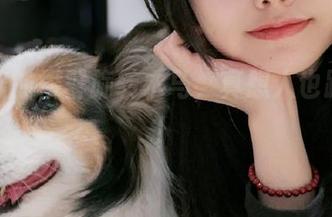 最新出的樱群旋转木马，真想人也跟着转！